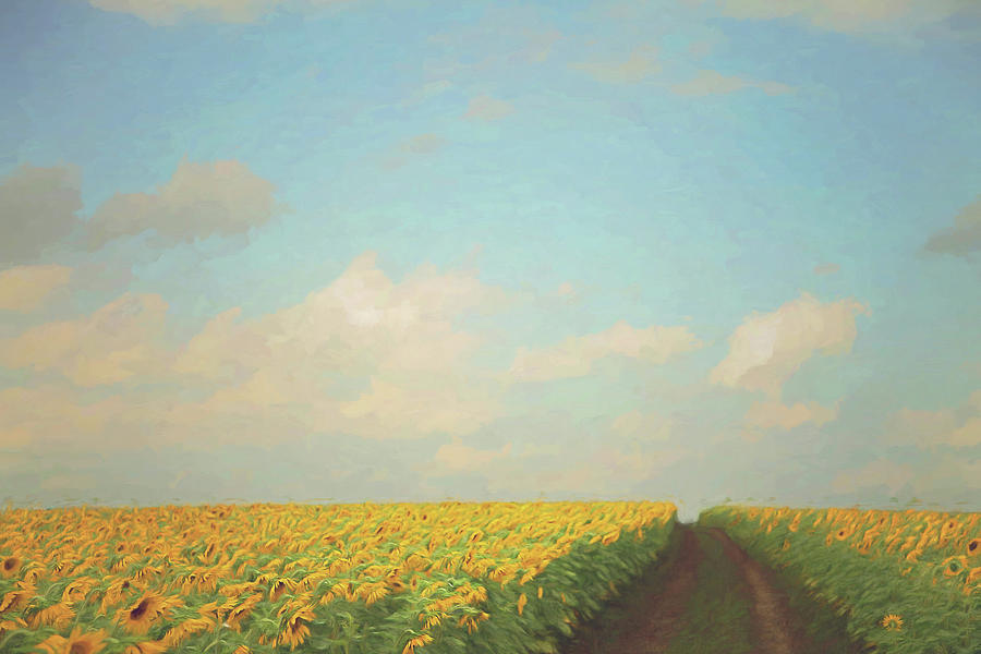 Fields of Gold Painterly Version I Photograph by Carrie Ann Grippo-Pike