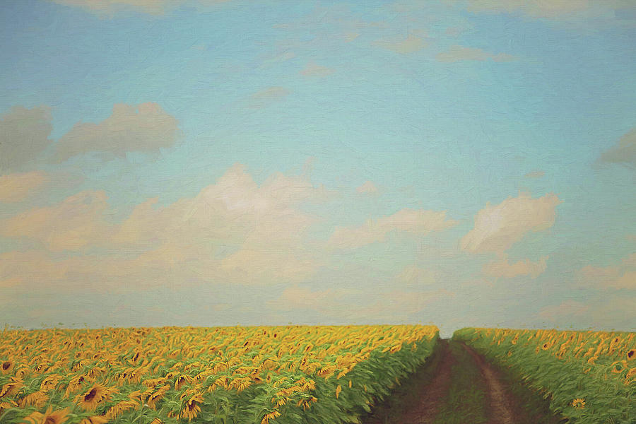 Fields of Gold Painterly Version II Photograph by Carrie Ann Grippo-Pike