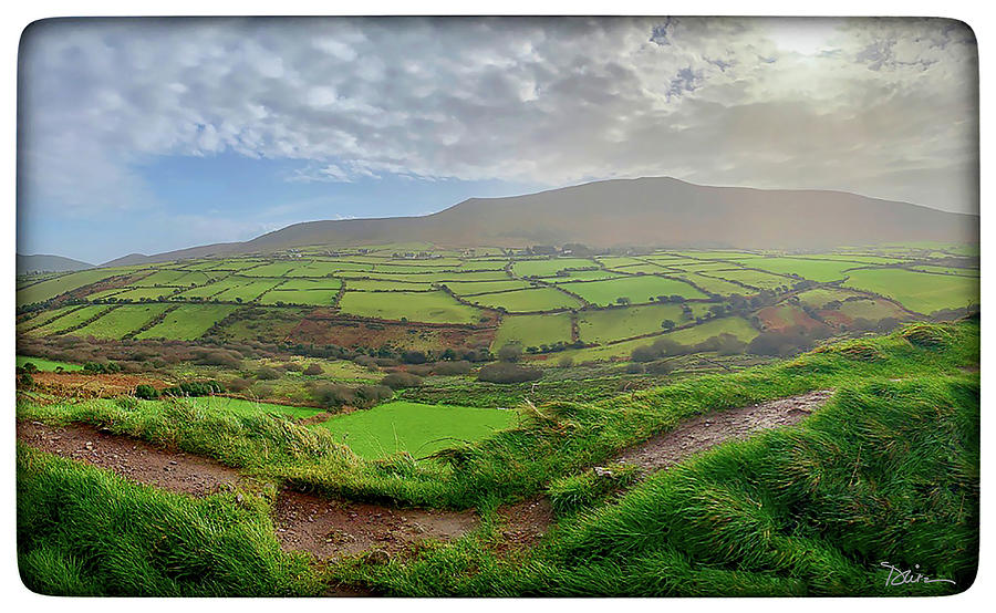 Fields of Green in Ireland Photograph by Peggy Dietz