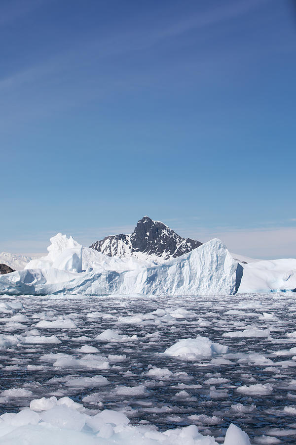 Fields of Ice, Antarctica Photograph by Payton Strumillo - Fine Art America