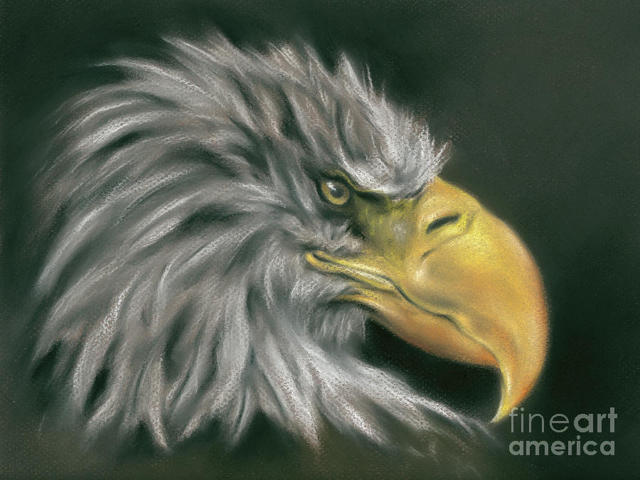Fierce Bald Eagle Portrait Painting by MM Anderson