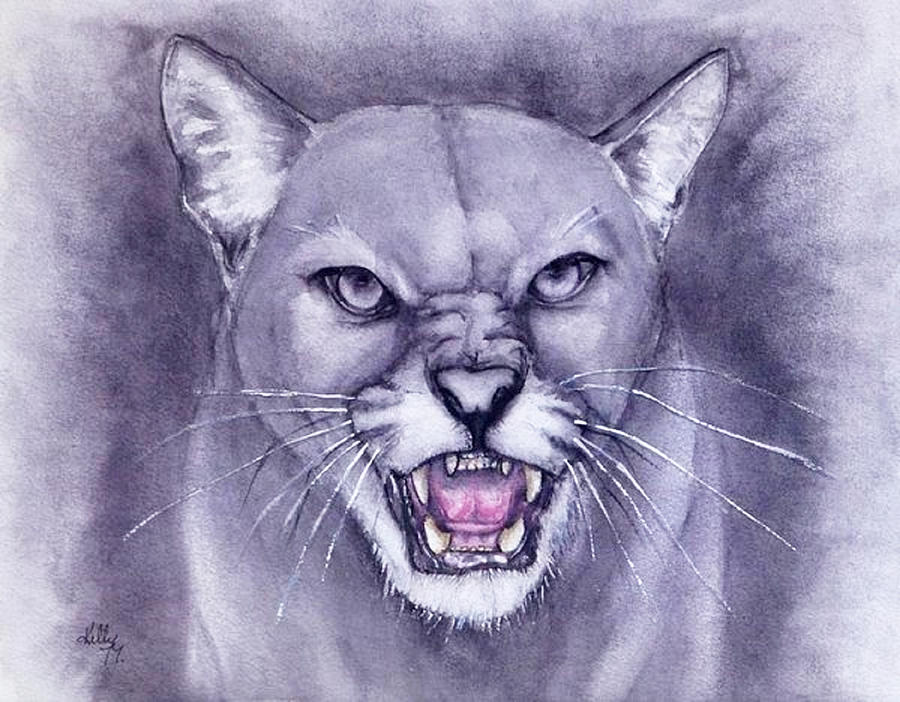 Fierce Cougar Painting by Kelly Mills