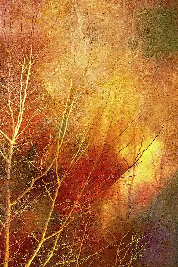 Fiery Autumn Tree Digital Art by Terry Davis