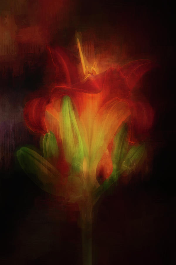 Fiery Day Lily Digital Art by Terry Davis