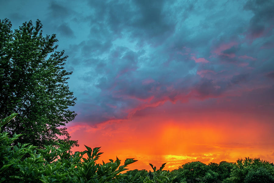 Fiery Delight Photograph by Todd Reese