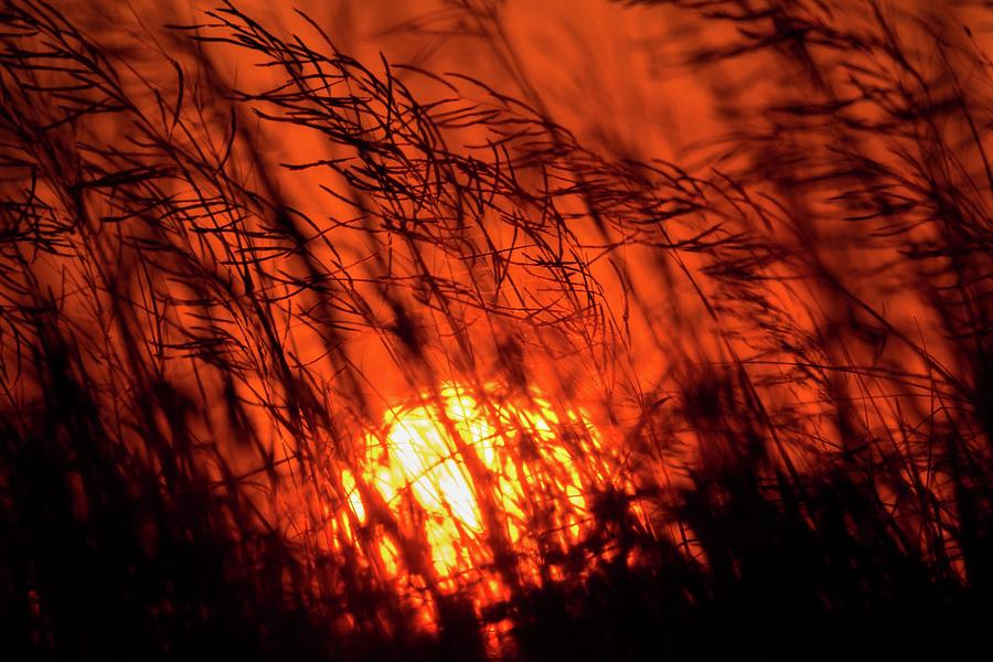 Fiery Marsh Sunset Photograph by Liza Eckardt