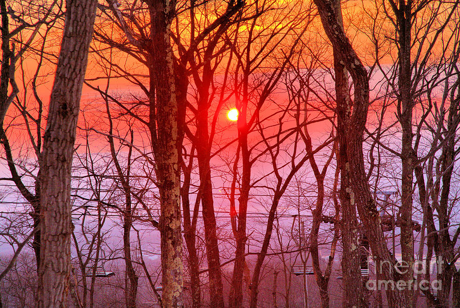Fiery Montage Montage Mountain Sunset Through The Trees Photograph by Adam Jewell