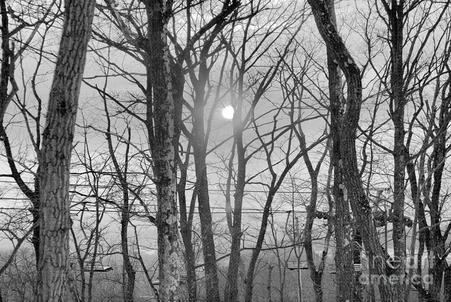 Fiery Montage Montage Mountain Sunset Through The Trees Black And White Photograph by Adam Jewell