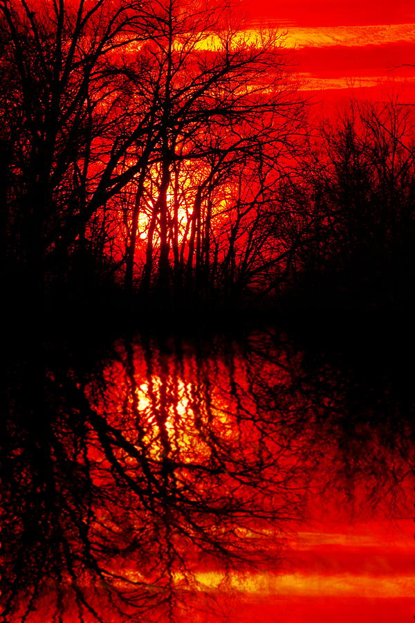 Fiery Reflections at Sundown Photograph by Susan Hope Finley