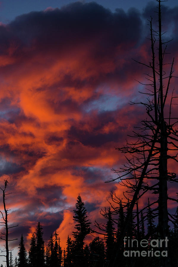 Olympic National Park Photograph - Fiery September Sunset at Deer Park by Nancy Gleason