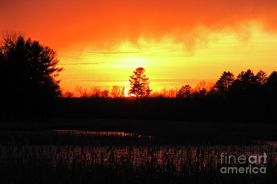 Fiery Sunset Photograph by Ann Brown