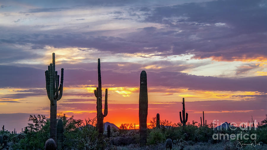 Fiery Sunset Arizona Photograph by Joanne West