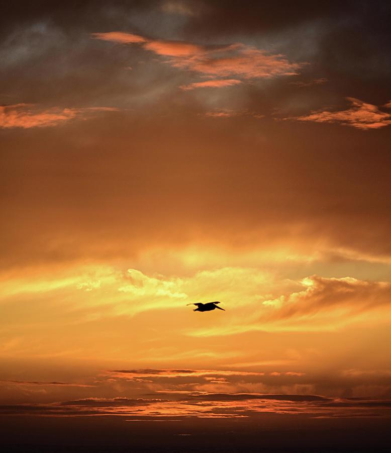 Fiery sunset Photograph by Matt MacMillan