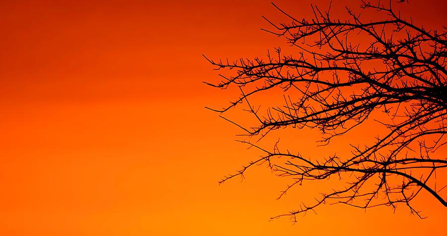 Fiery Sunset In Cartersville, Ga Photograph