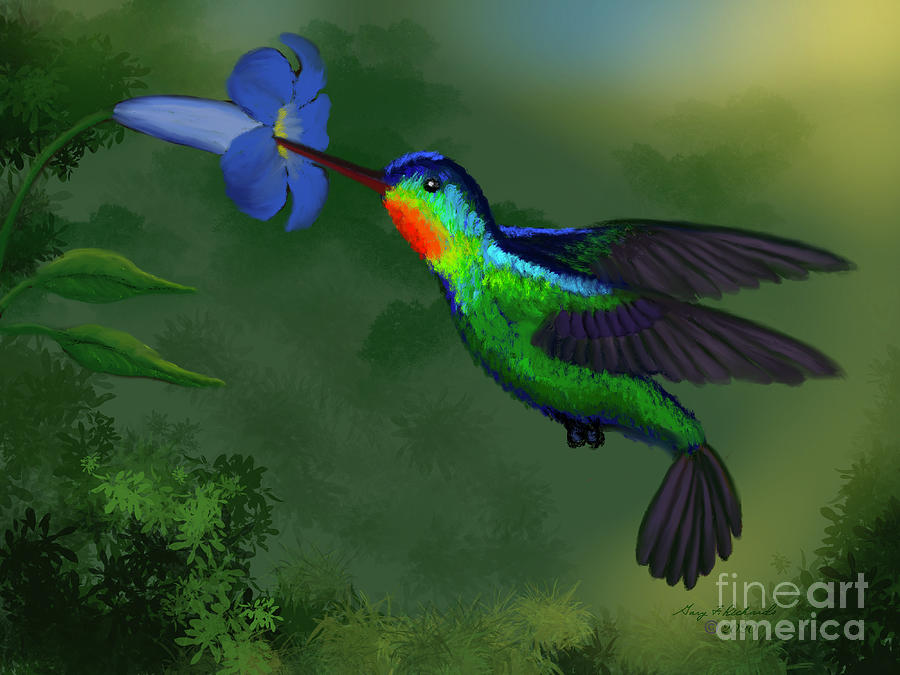 Fiery Throated Hummingbird Digital Art