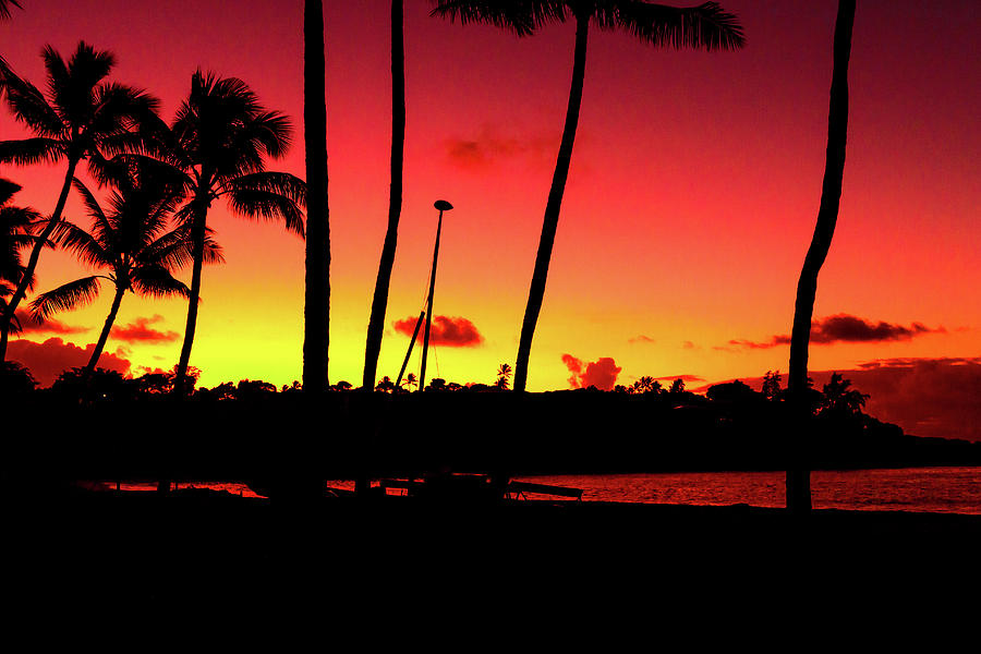 Fiery Tropical Sunrise in Hawaii Photograph by Auden Johnson