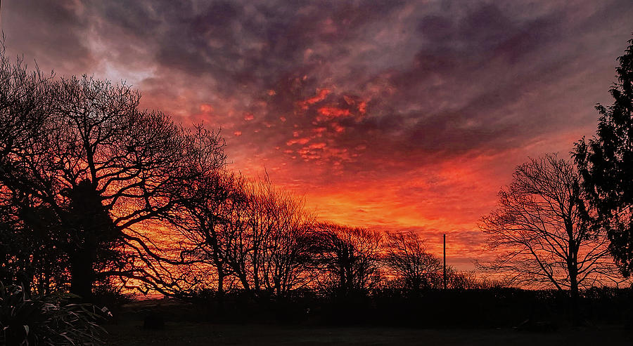 Fiery Winter Sunrise And Tree Silhouettes Devon Photograph by Richard Brookes