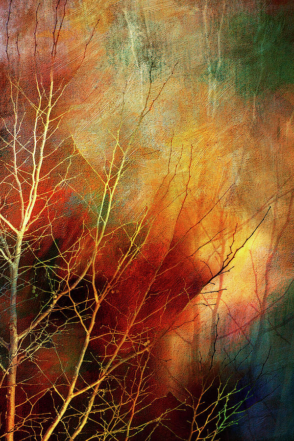 Fiery Winter Tree Digital Art by Terry Davis