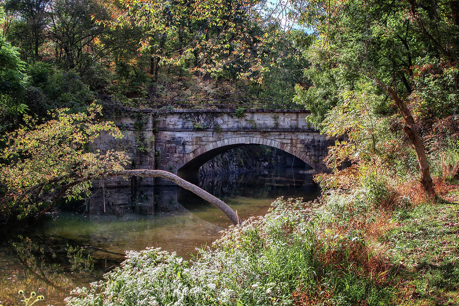 Fifteen Mile Creek Aqueduct Photograph by Susan Rissi Tregoning
