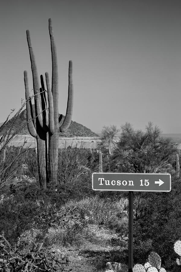 Fifteen Miles from Tucson Photograph by Bill Chizek