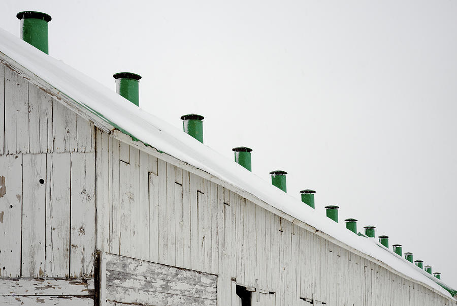 Fifteen Winter Hats - Green cupolos on white barn in Wisconsin Winter Photograph by Peter Herman