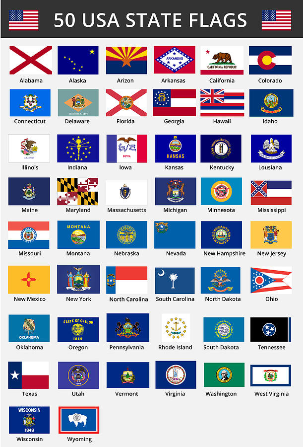 Fifty of USA States Flags Drawing by Chokkicx