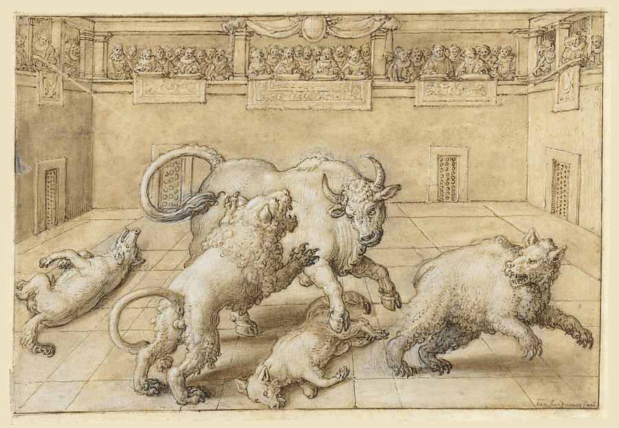 Fight in an arena between a bull, a lion, a bear and two wolves  Drawing by Jan van der Straet