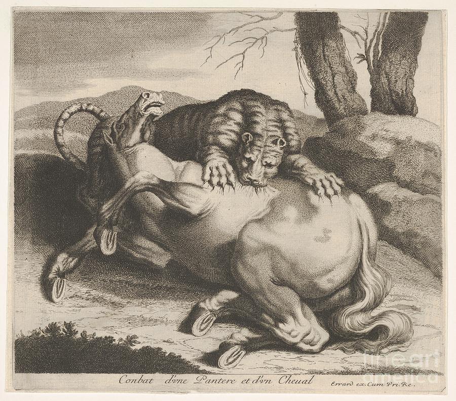Fight of a Panther and a Horse Painting by Shop Ability