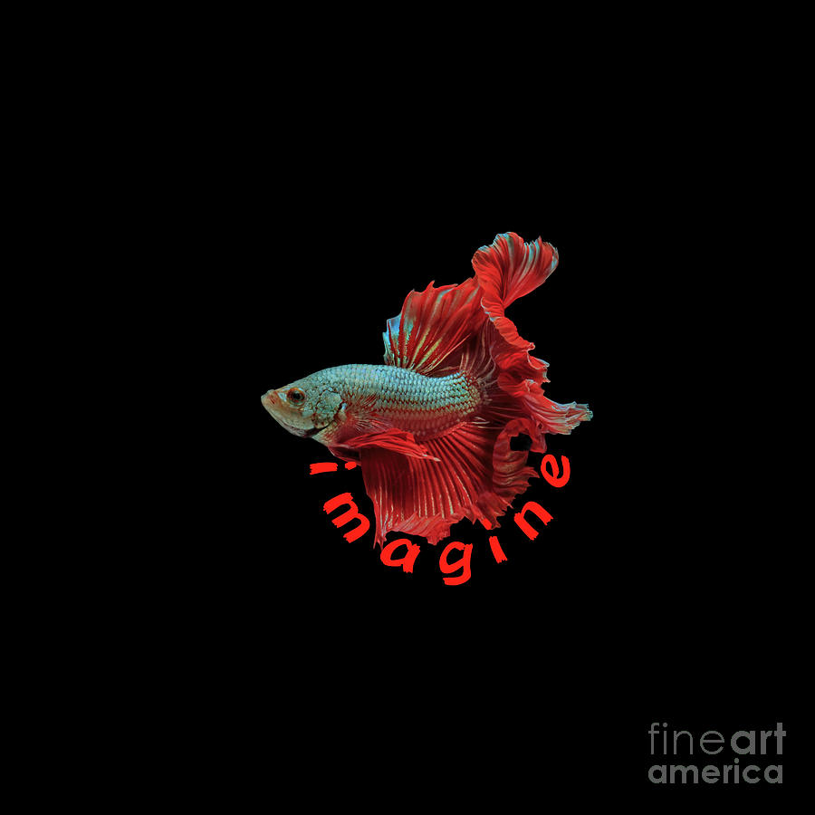 Fighter Fish Imagine Black Digital Art by Manos Chronakis