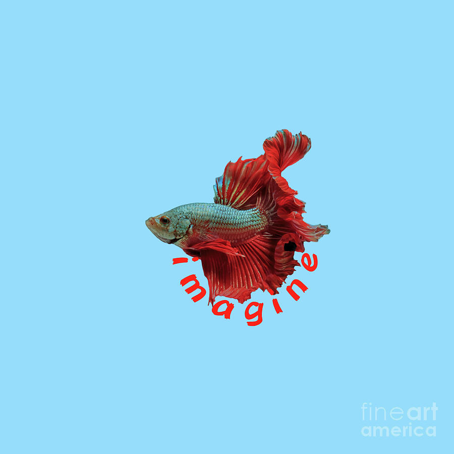 Fighter Fish Imagine Light Blue Digital Art by Manos Chronakis