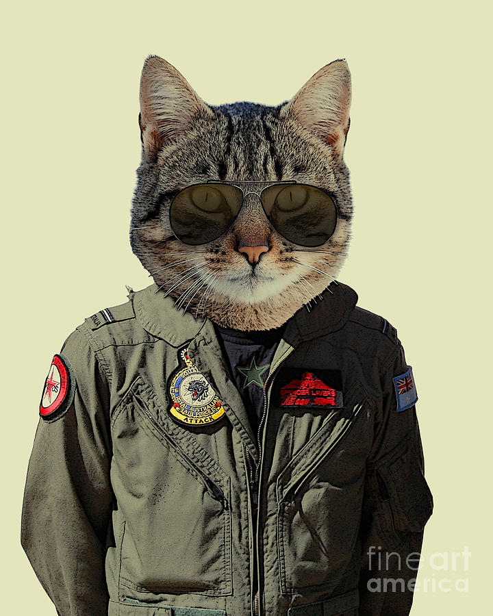 Cat Mixed Media - Fighter pilot cat by Madame Memento