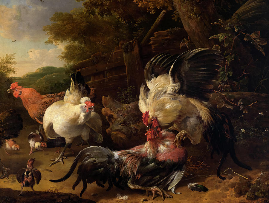 Melchior De Hondecoeter Painting - Fighting Roosters, 1686 by Melchior dHondecoeter