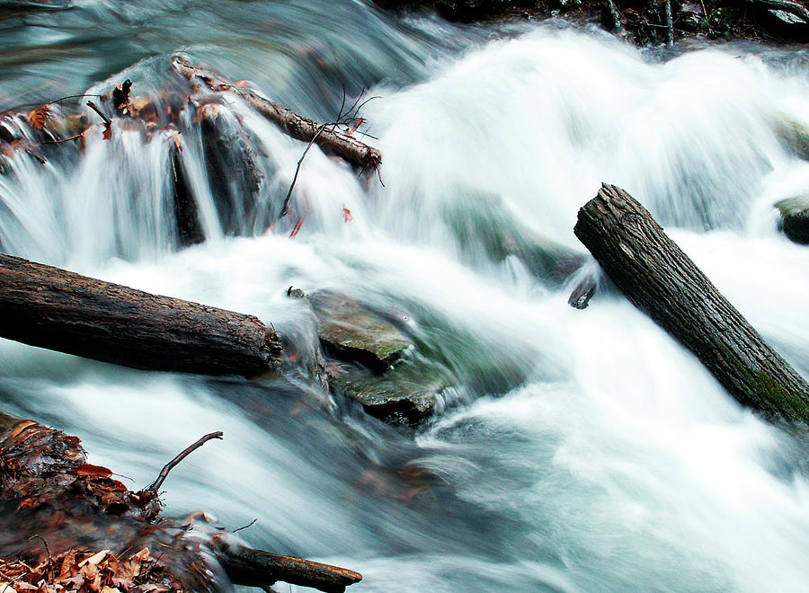 Fighting the Flow - Fine Art Print Photograph by Kenneth Lane Smith