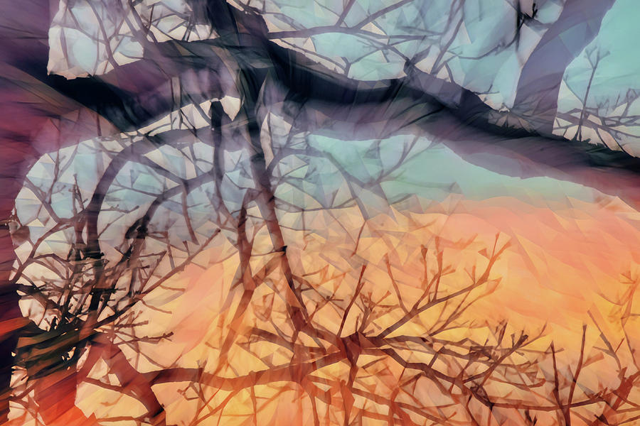 Figment of Trees Digital Art by Gaby Ethington