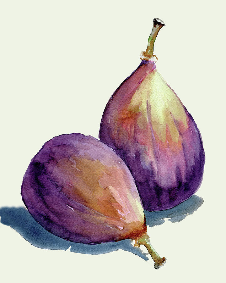 Figs  Painting by Francine Rondeau