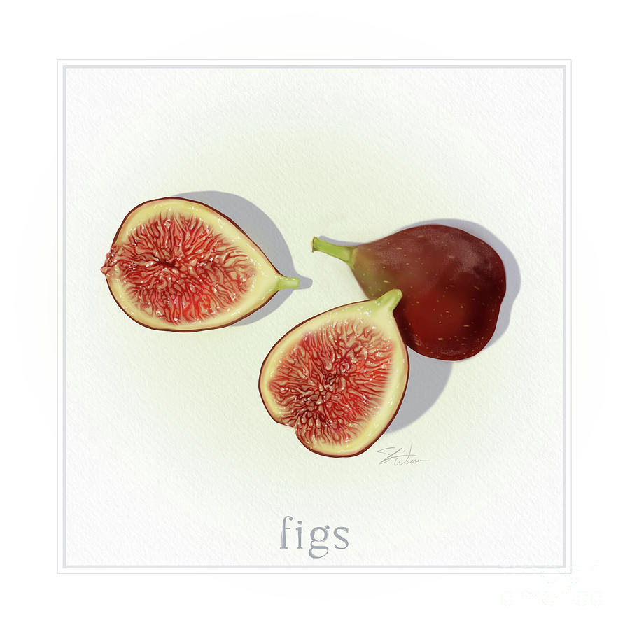 Figs Fresh Fruits Mixed Media by Shari Warren