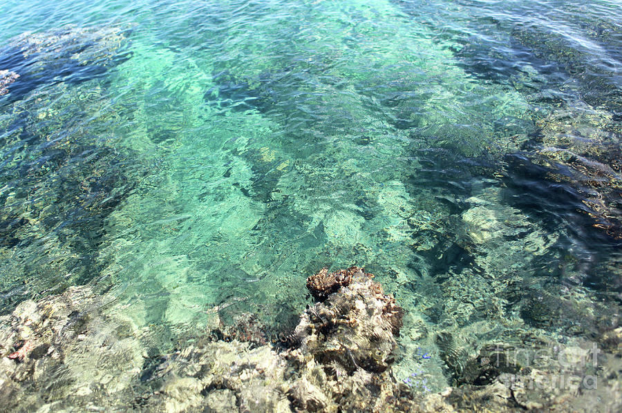 Fiji Turquoise Waters Photograph by Jennifer Camp