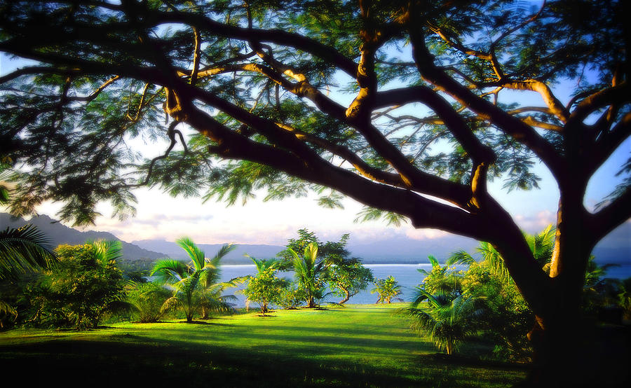 Fijiian morning Photograph by John Bartosik