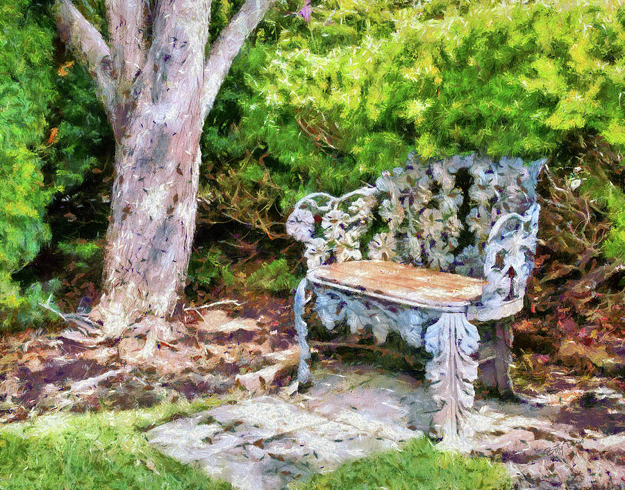 Tree Photograph - Filigree Bench in the Shade by Betty Denise