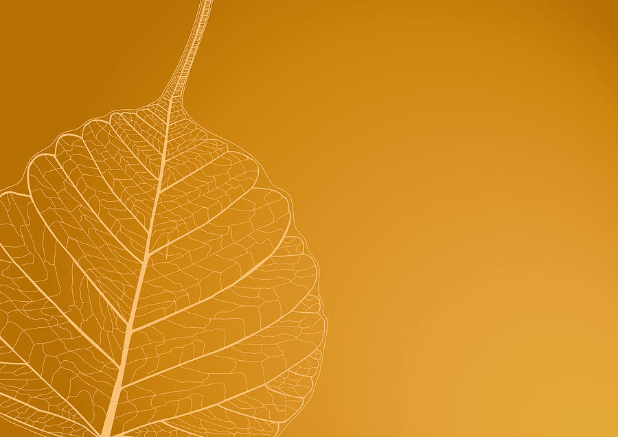 Filigree leaves with brown background Photograph by Terra24