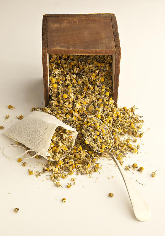 Filling dried chamomile Photograph by Bill Boch