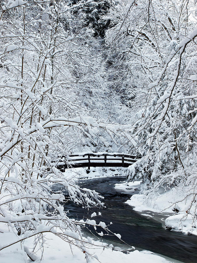 Fillmore Glen State Park Winter 2 Photograph by NYFalls Upstate NY Nature