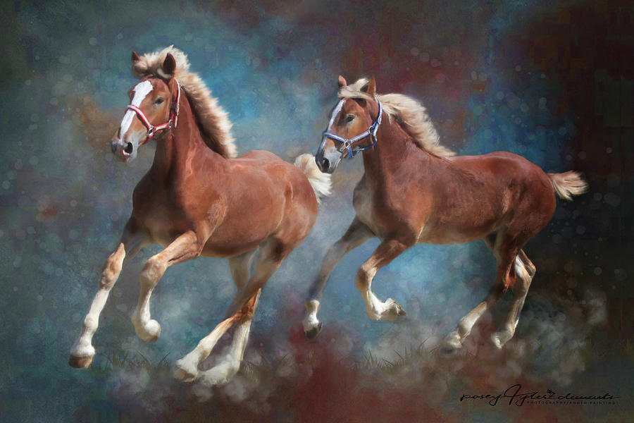 Filly Fun Digital Art by Posey Clements