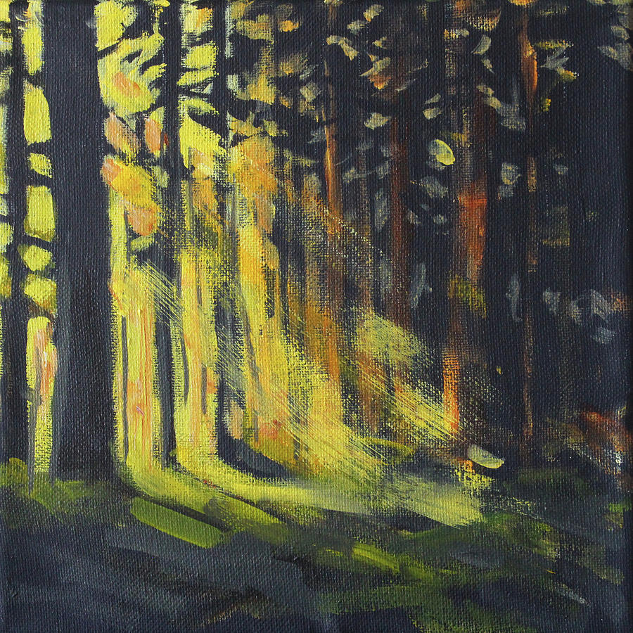 Filtered Light Painting by Nancy Merkle
