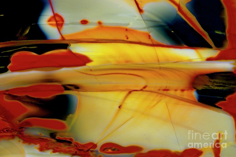 Final Frontier Photograph by Eric Kyle