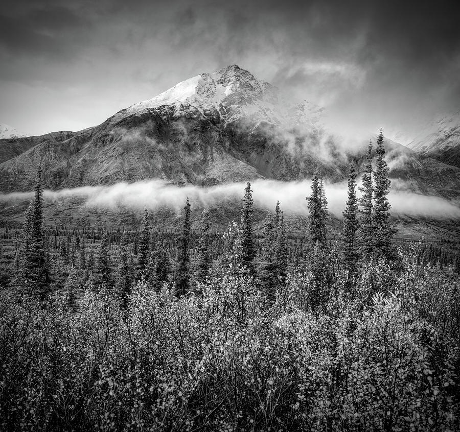 Final Frontier Mystical Alaska Range Photograph by Dan Sproul