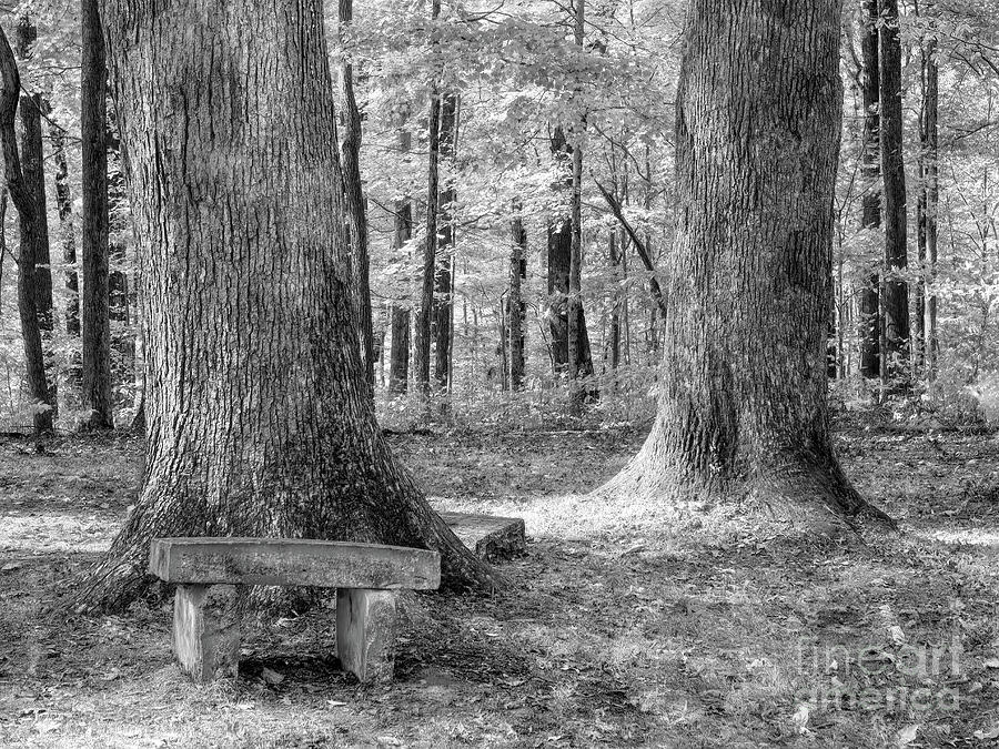 Final Resting Place Photograph by Gary Richards - Fine Art America