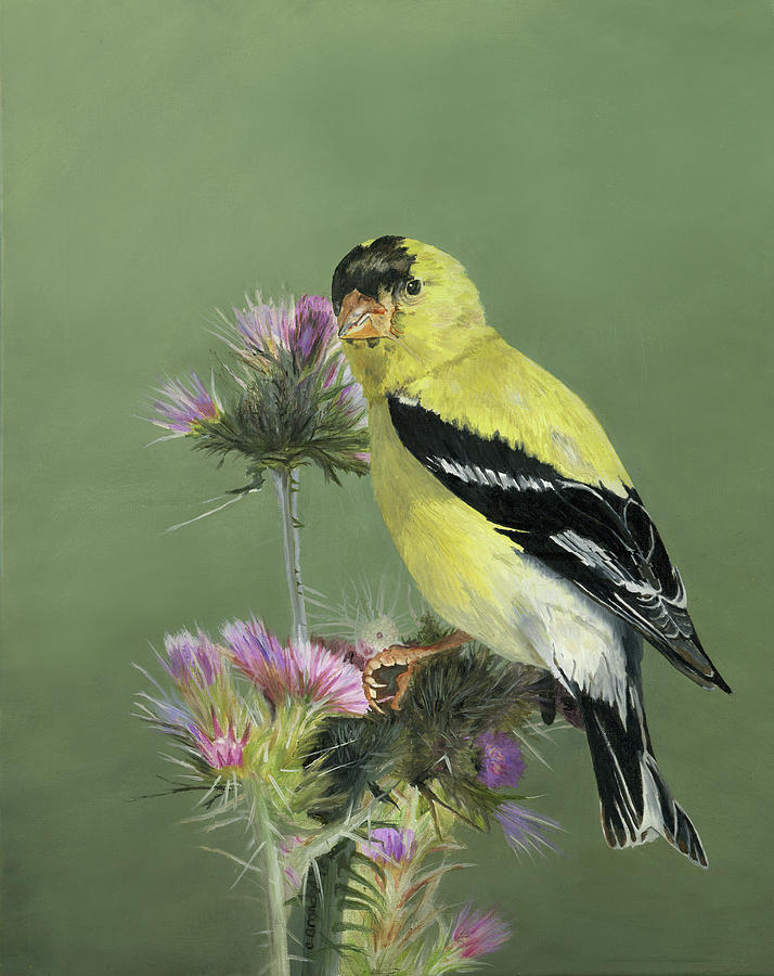 Finch Painting by Cecilia Brendel