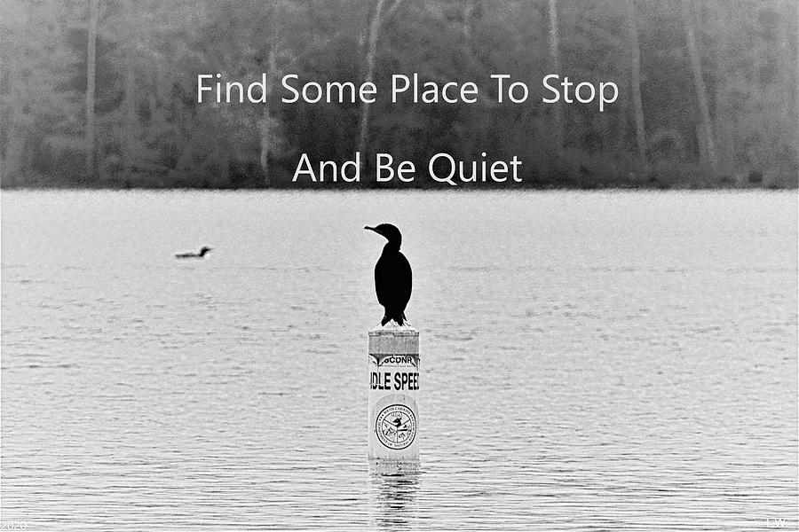 Find Some Place To Stop And Be Quiet Photograph by Lisa Wooten