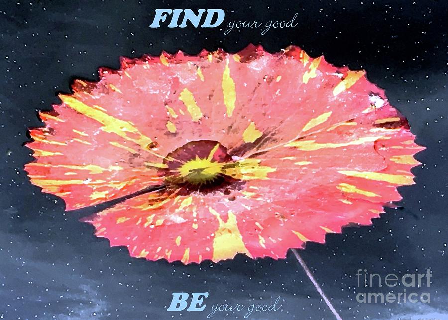 Inspirational Photograph - Find Your Good, Be Your Good by Barbie Corbett-Newmin